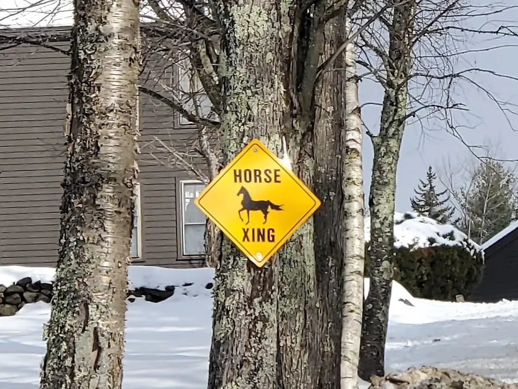 546 Perkins Hill Road Alexandria NH 03222