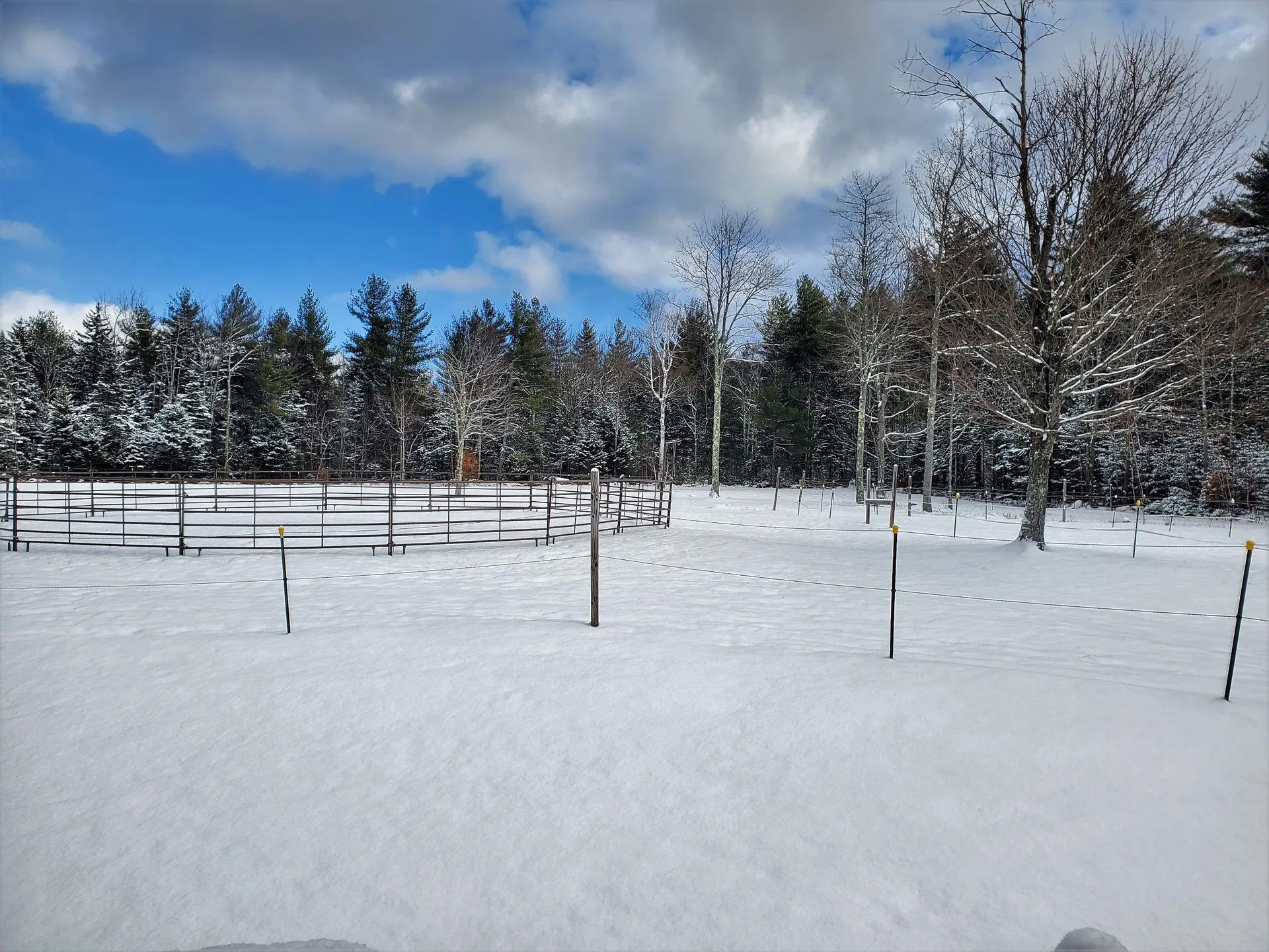 546 Perkins Hill Road Alexandria NH 03222