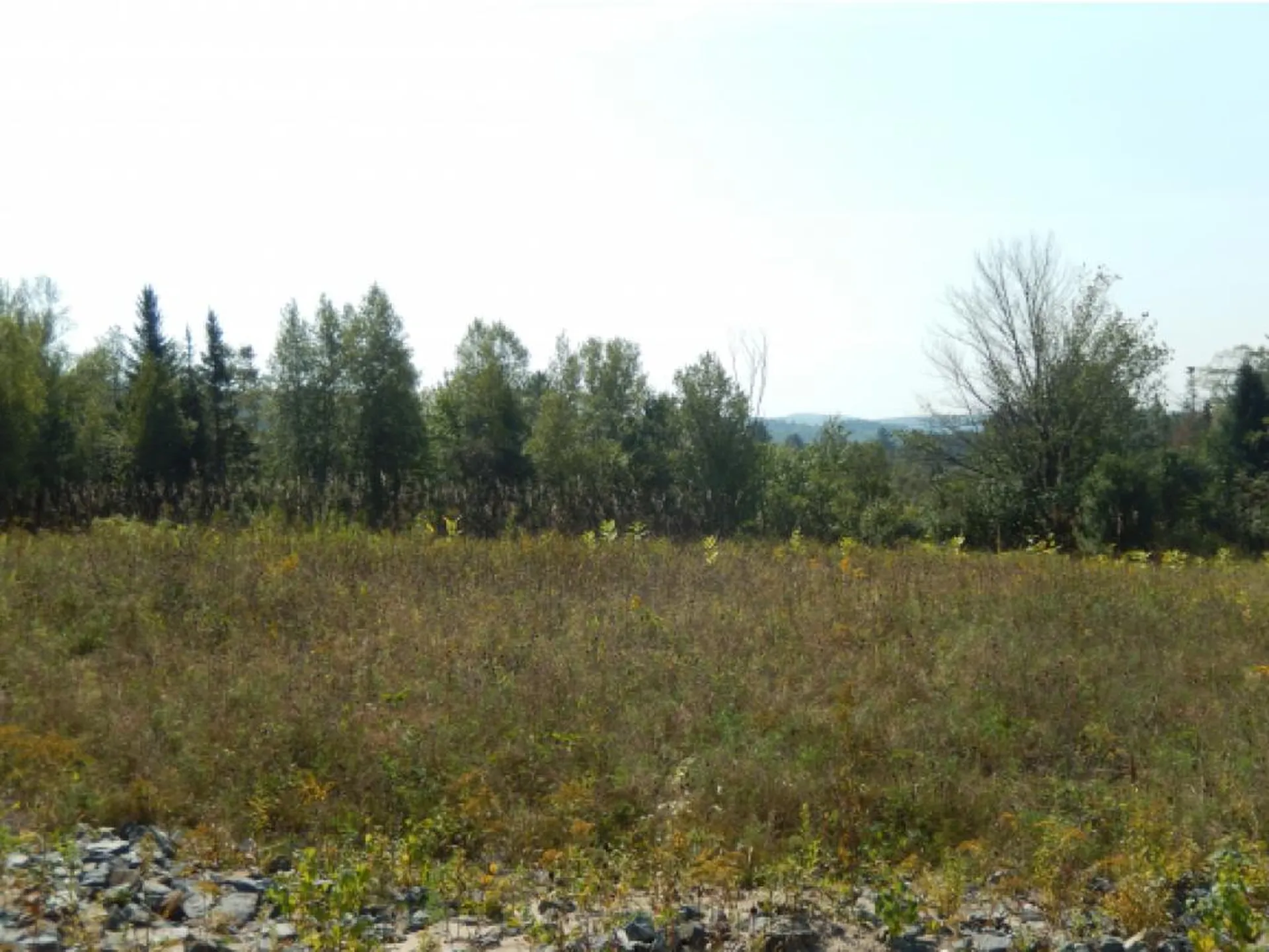 1 Dove Lane Canaan NH 03741