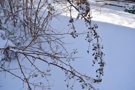 46 Main Street Milton VT 05468