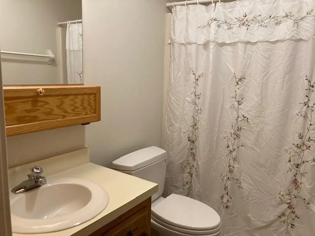 161 Mountainside Drive Warren VT 05674