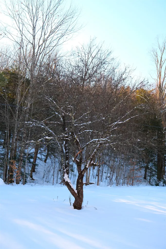 139 Borough Road Hill NH 03243