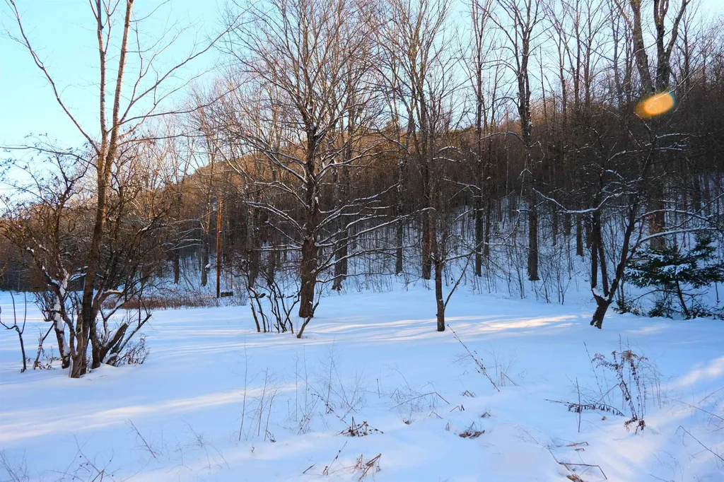 139 Borough Road Hill NH 03243