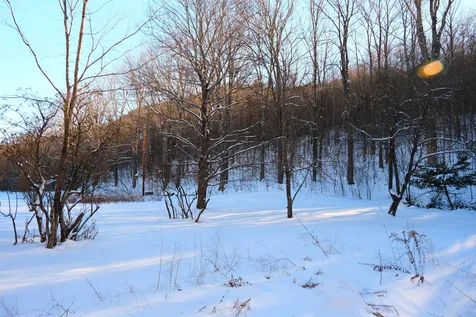 139 Borough Road Hill NH 03243