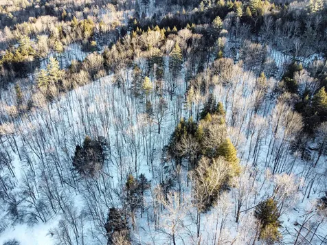 0 Farr Road Waterbury VT 05676