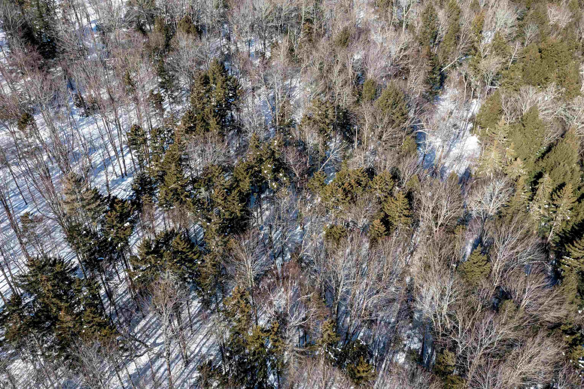 0 Terrafay Road Fayston VT 05660