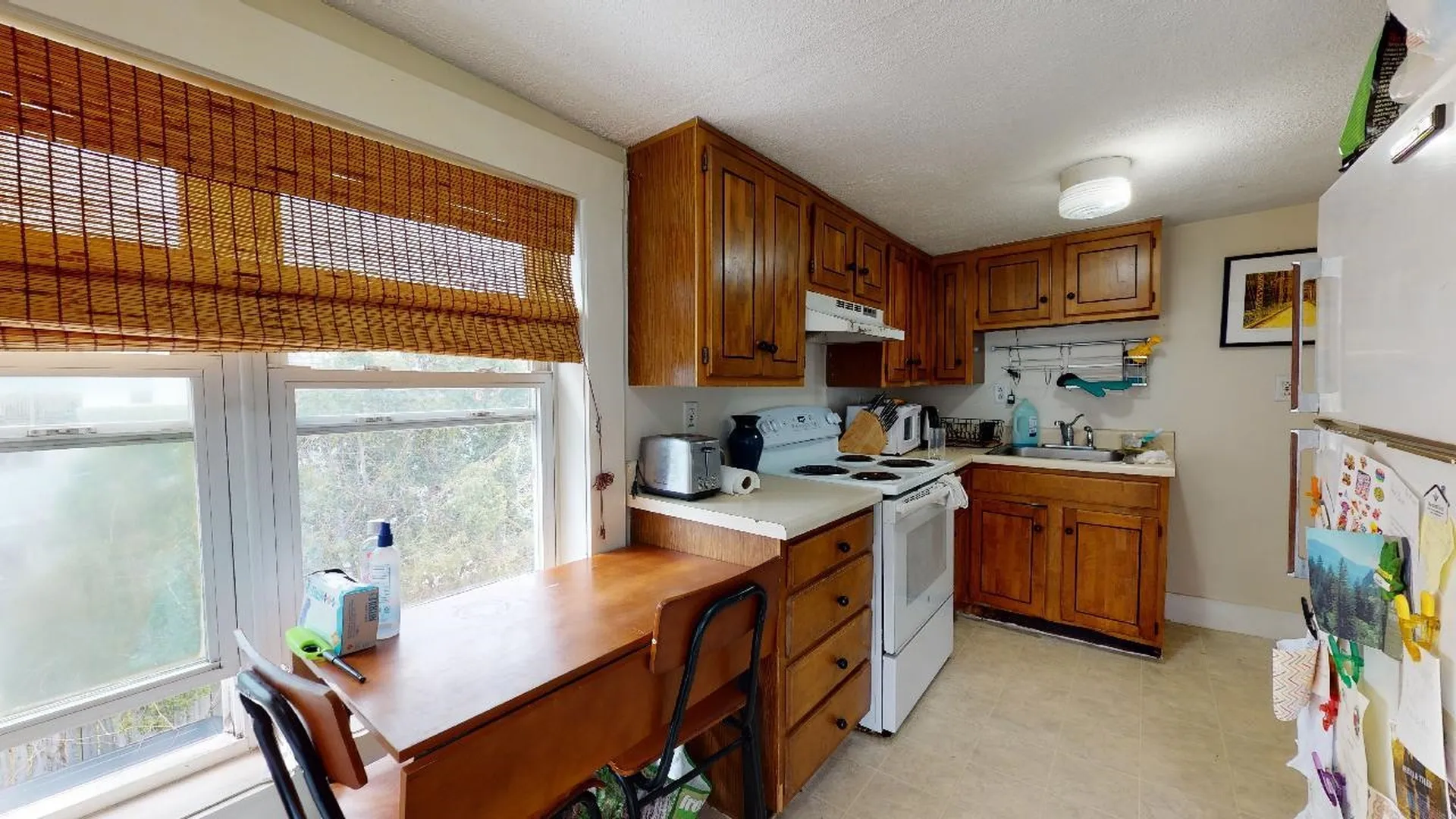 204 North Avenue Burlington VT 05401