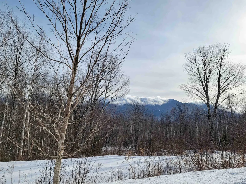 103 North Peak Drive Easton NH 03580