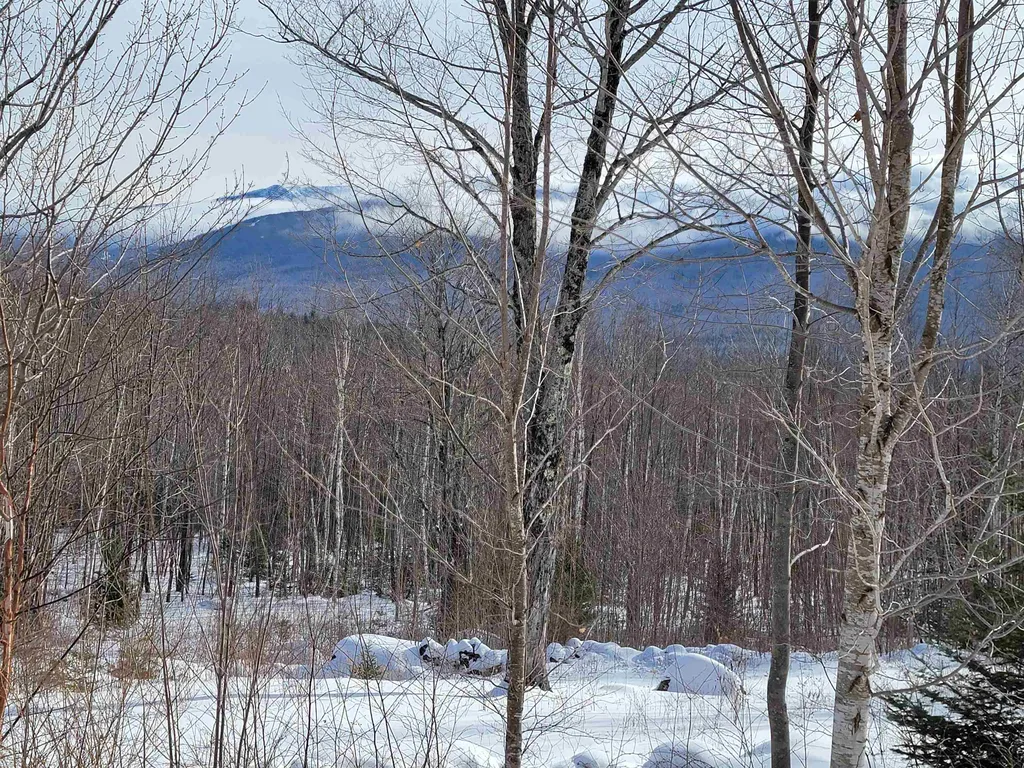 103 North Peak Drive Easton NH 03580