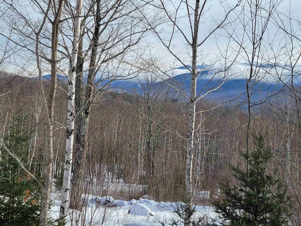 103 North Peak Drive Easton NH 03580