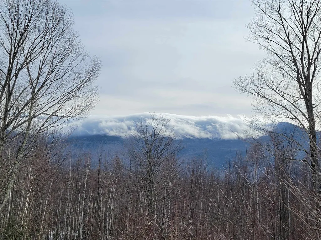 103 North Peak Drive Easton NH 03580