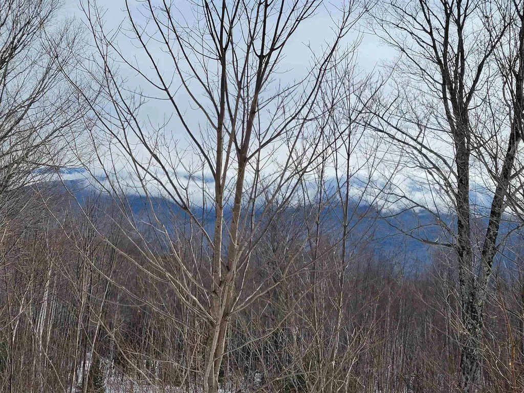 103 North Peak Drive Easton NH 03580