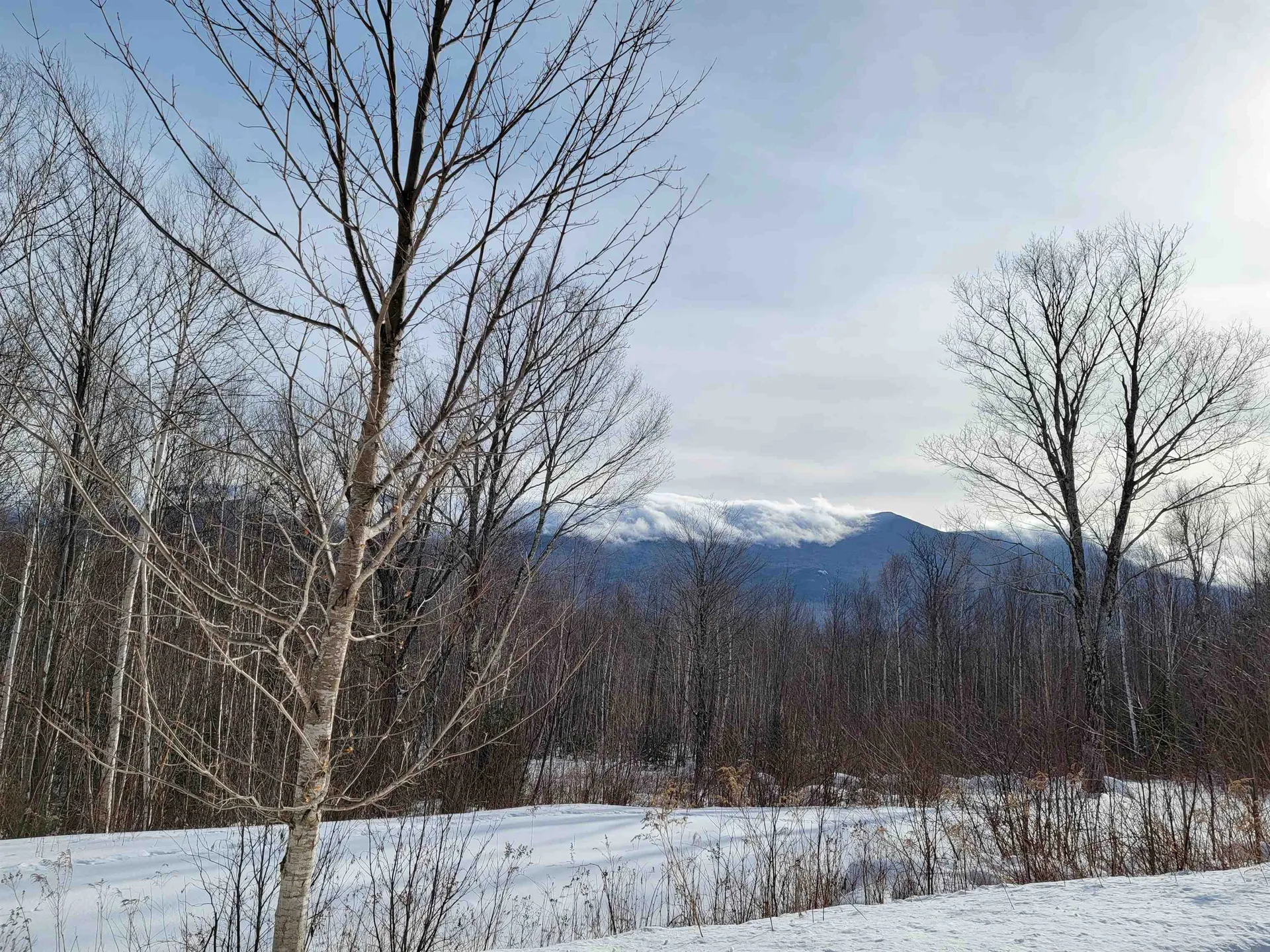 103 North Peak Drive Easton NH 03580