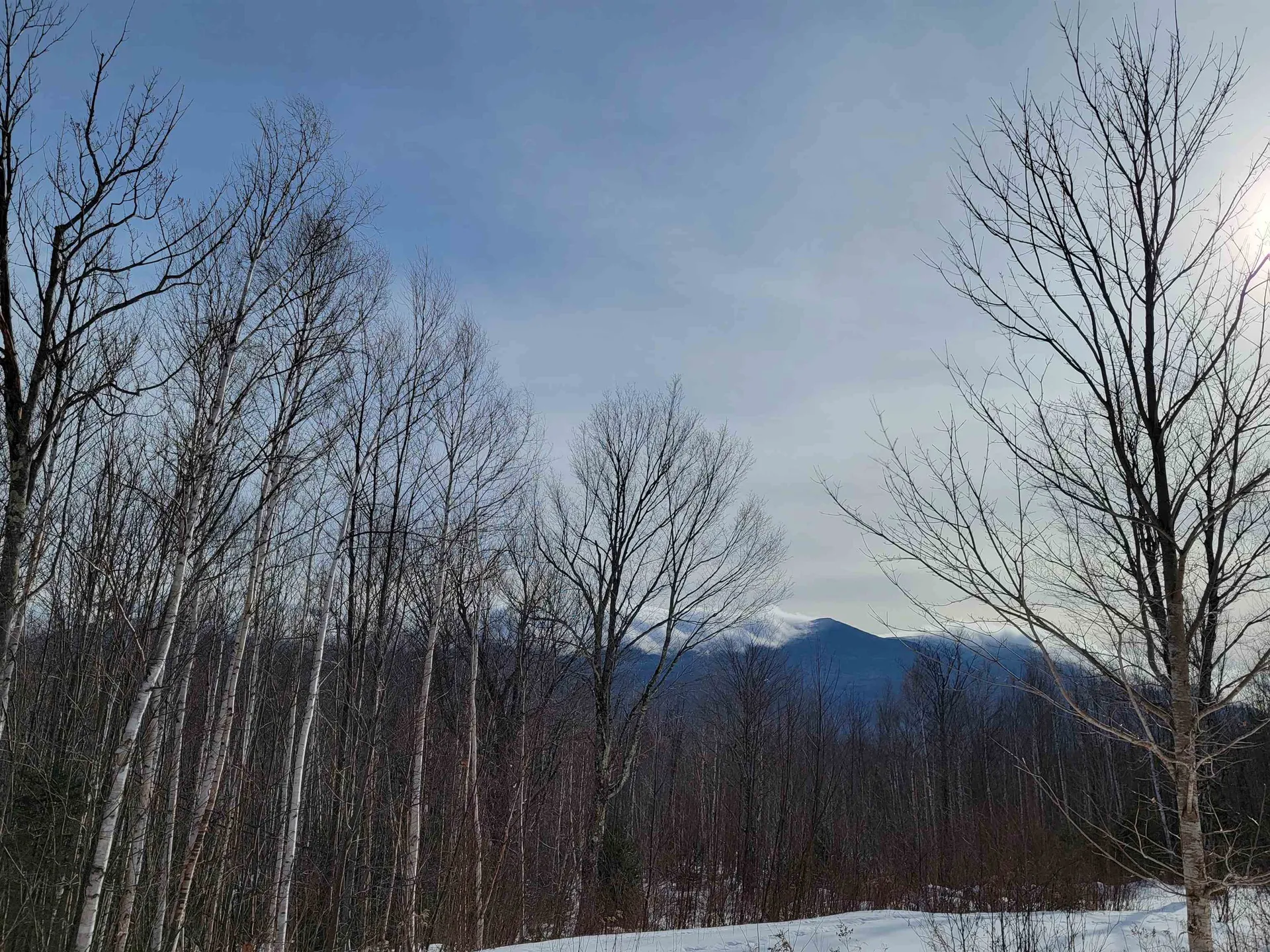 103 North Peak Drive Easton NH 03580