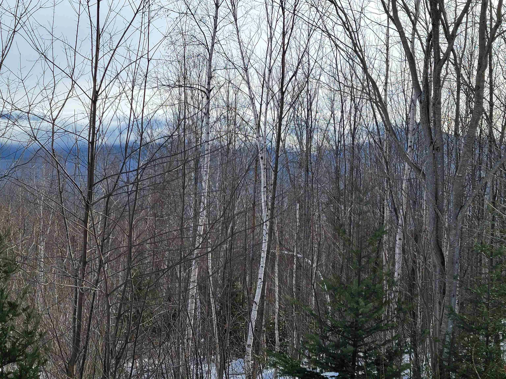 103 North Peak Drive Easton NH 03580