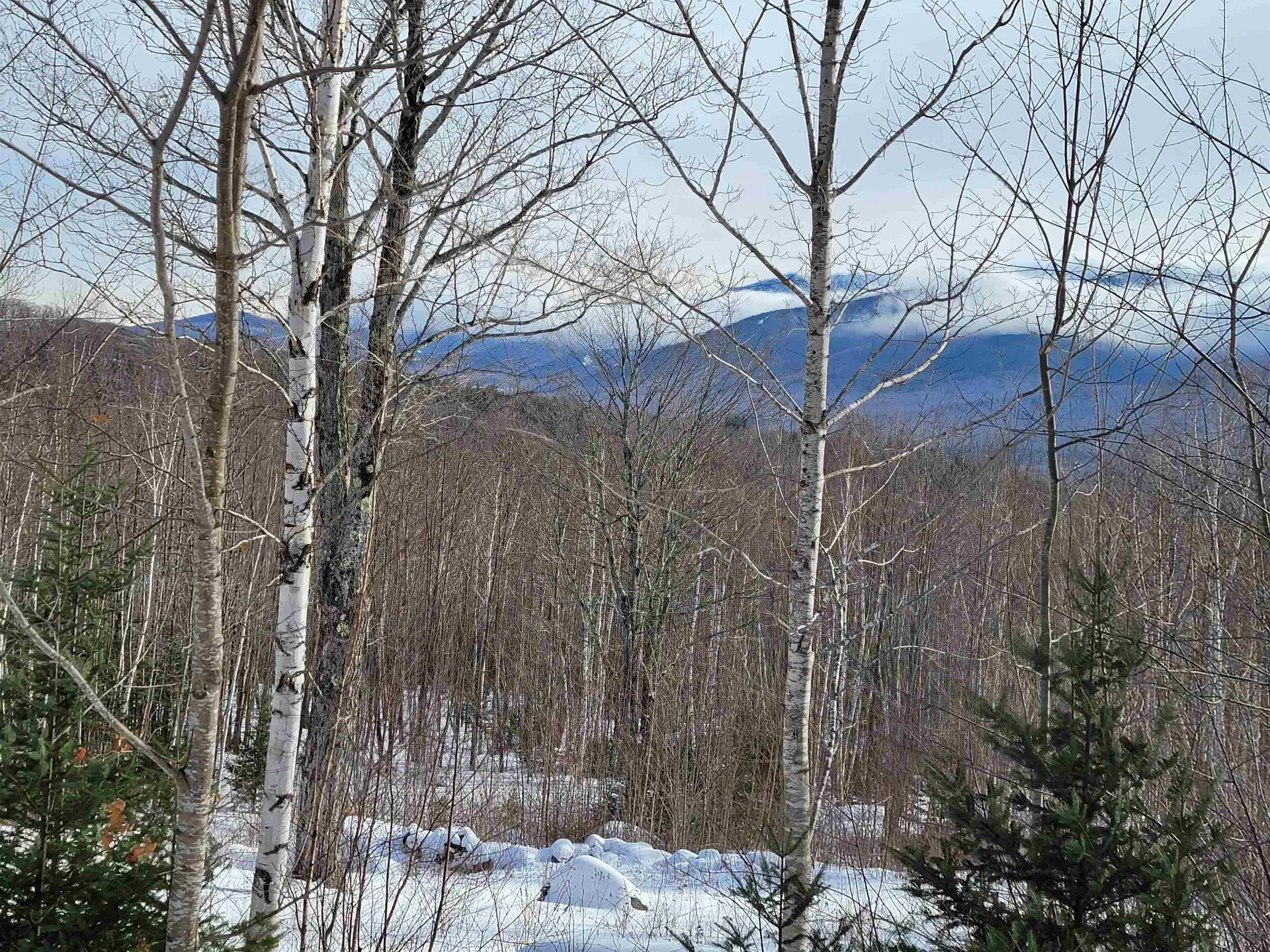 103 North Peak Drive Easton NH 03580