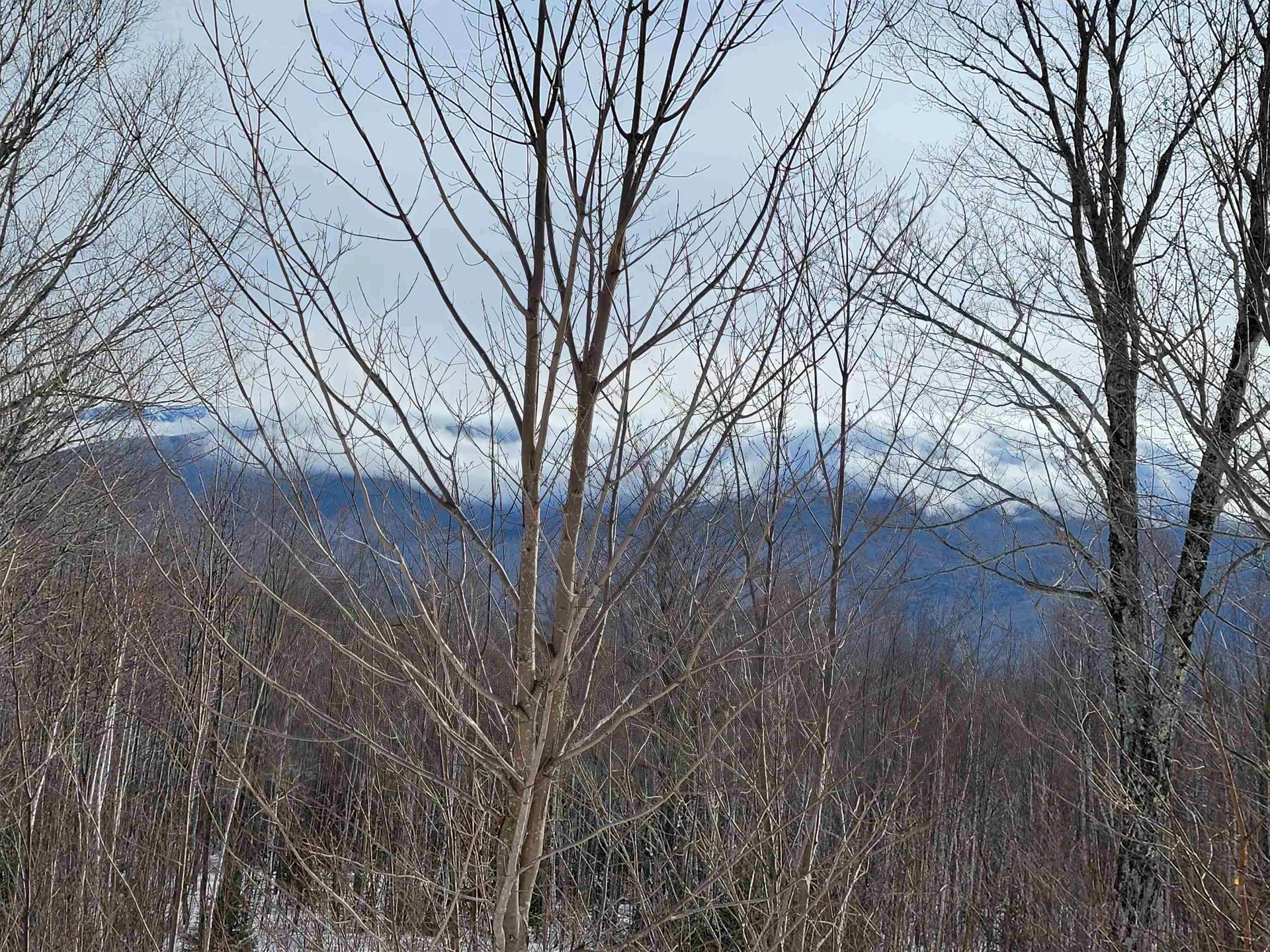 103 North Peak Drive Easton NH 03580