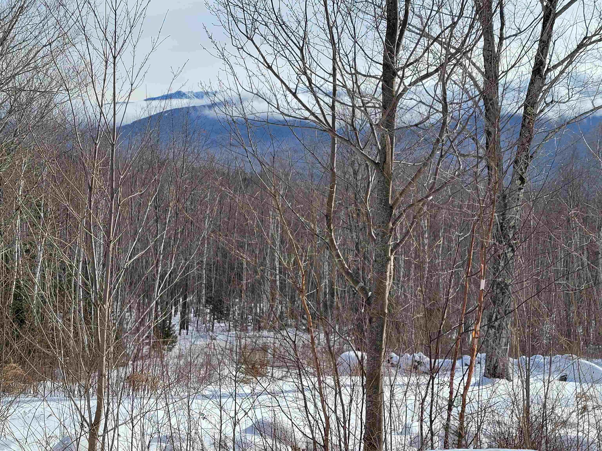 103 North Peak Drive Easton NH 03580