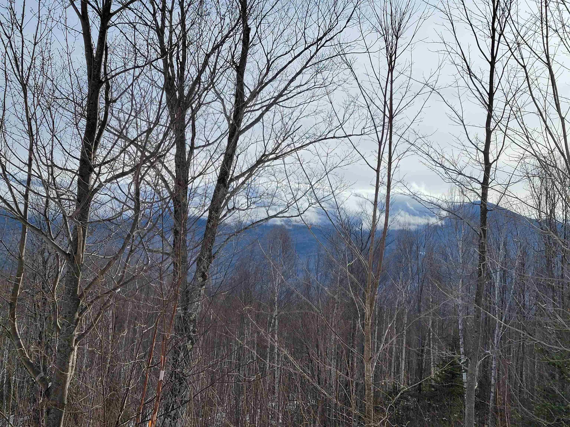 103 North Peak Drive Easton NH 03580