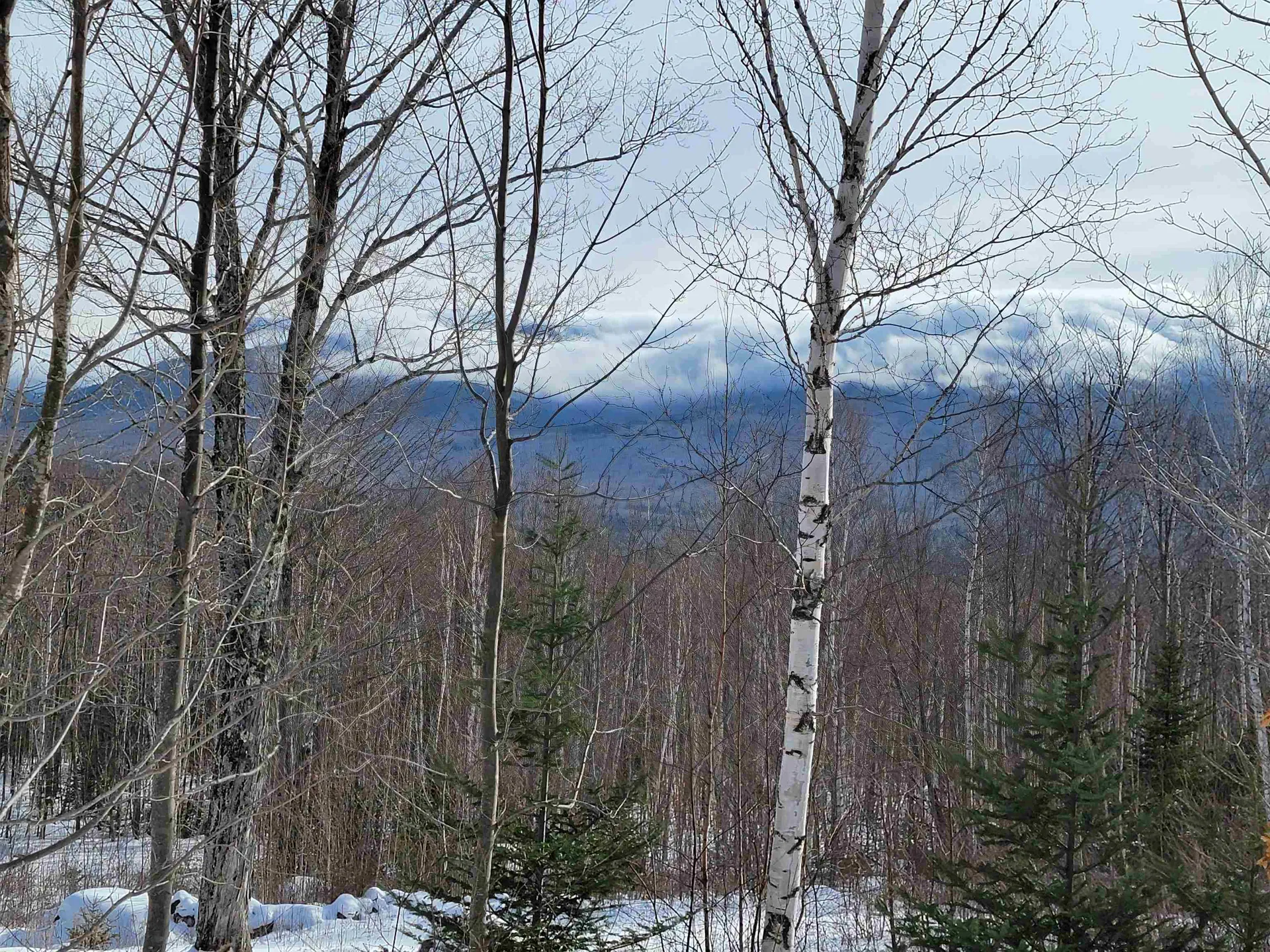 103 North Peak Drive Easton NH 03580
