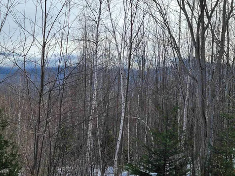 103 North Peak Drive Easton NH 03580