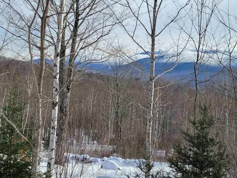 103 North Peak Drive Easton NH 03580