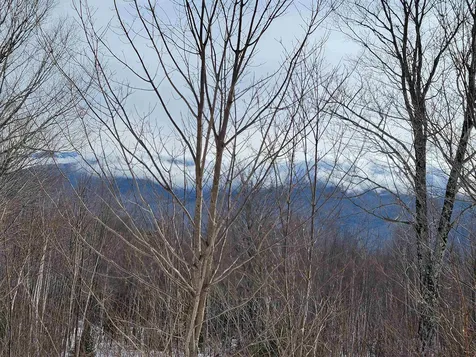 103 North Peak Drive Easton NH 03580