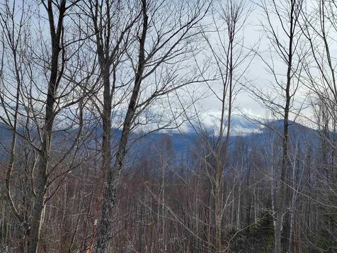 103 North Peak Drive Easton NH 03580
