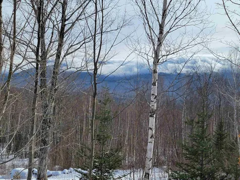 103 North Peak Drive Easton NH 03580