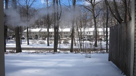 42 Morningside Commons Brattleboro VT 05301