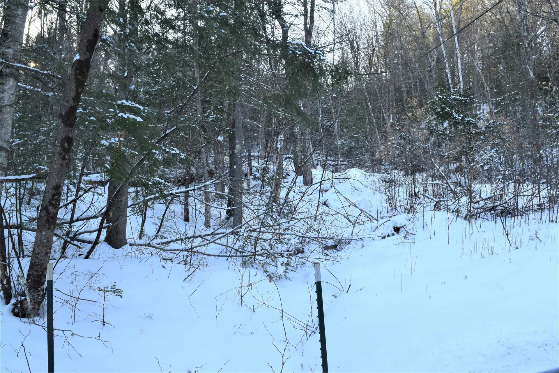 Belknap Drive Haverhill NH 03765