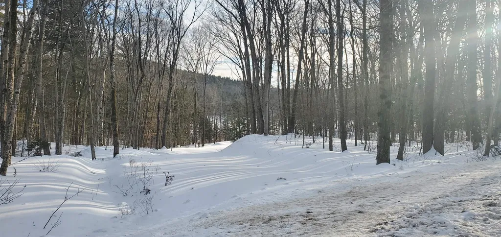 2057 Nh Route 16 Albany NH 03818
