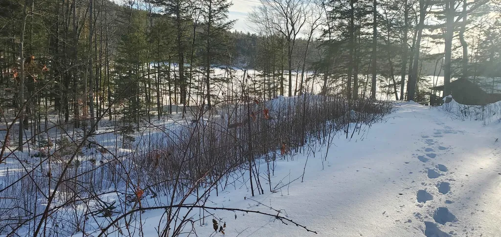 2057 Nh Route 16 Albany NH 03818