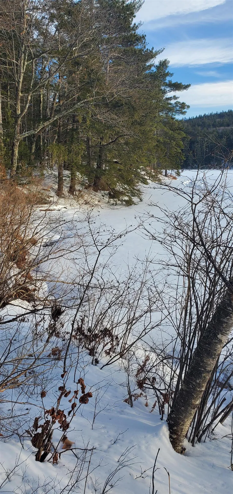 2057 Nh Route 16 Albany NH 03818