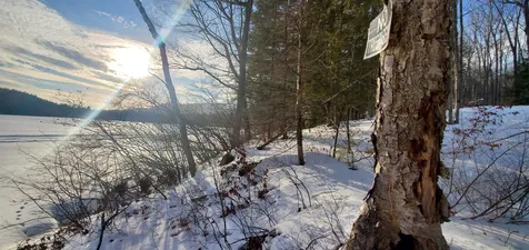 2057 Nh Route 16 Albany NH 03818