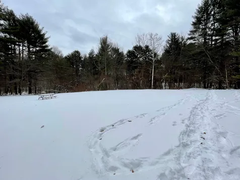 19 Keyes Hill Road Pelham NH 03076