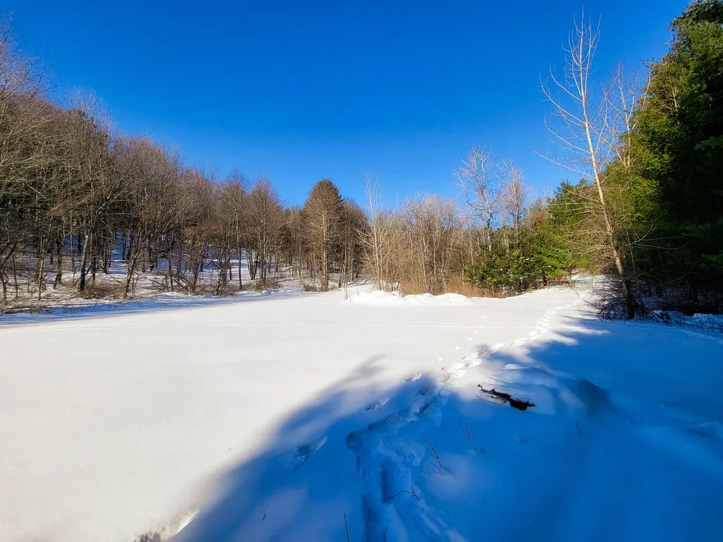 196 Farwell Street Barre Town VT 05641