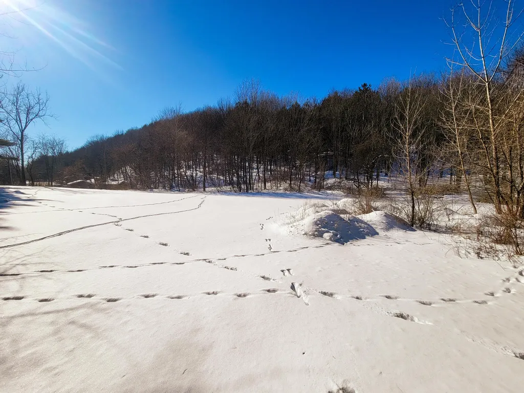 196 Farwell Street Barre Town VT 05641