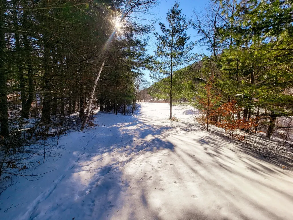 196 Farwell Street Barre Town VT 05641