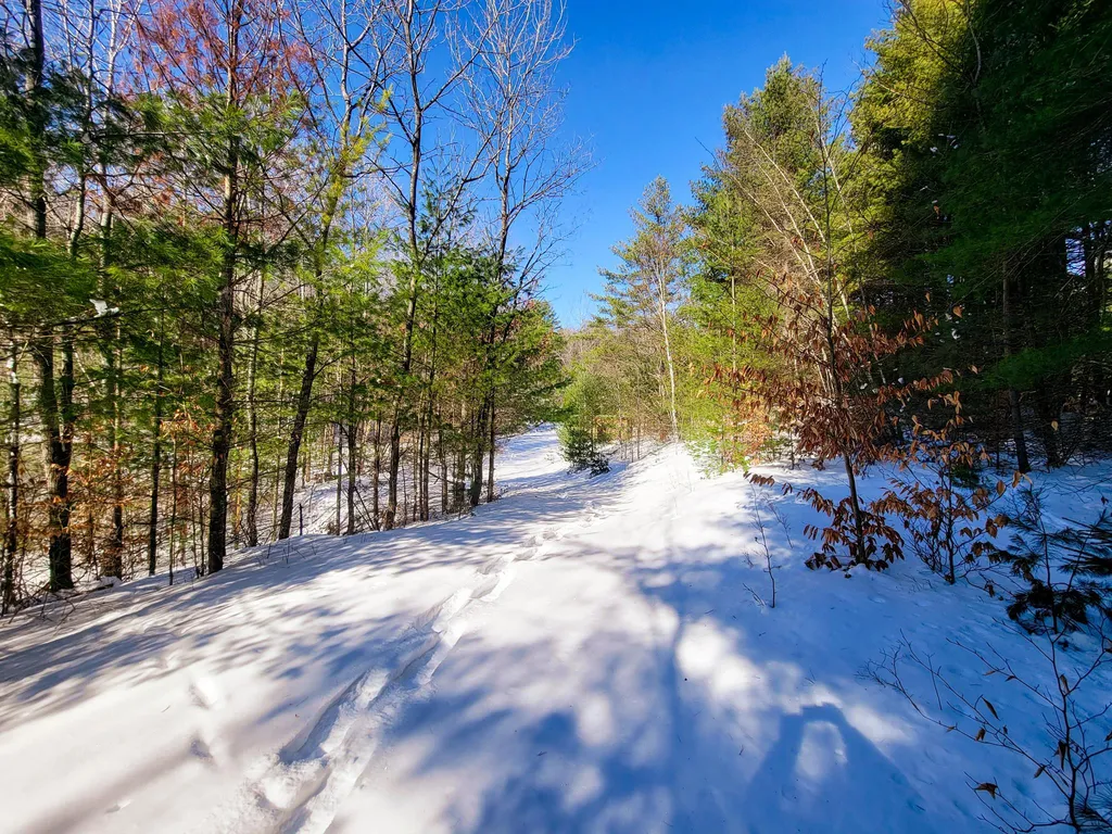 196 Farwell Street Barre Town VT 05641