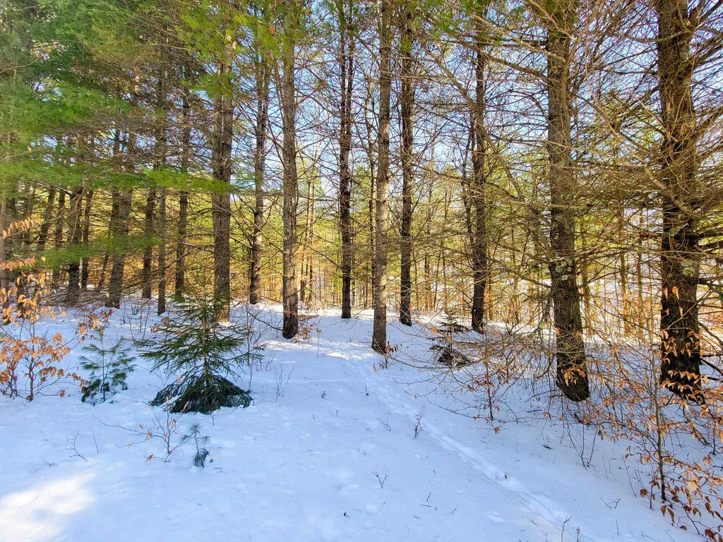 196 Farwell Street Barre Town VT 05641