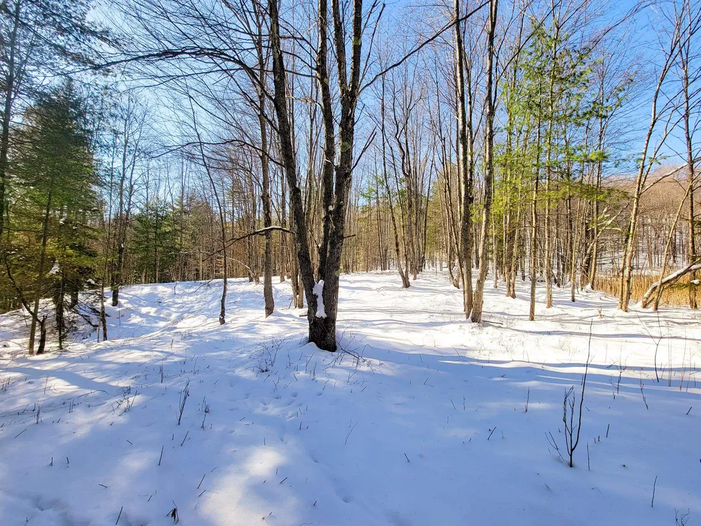 196 Farwell Street Barre Town VT 05641
