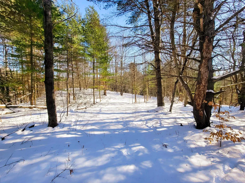 196 Farwell Street Barre Town VT 05641