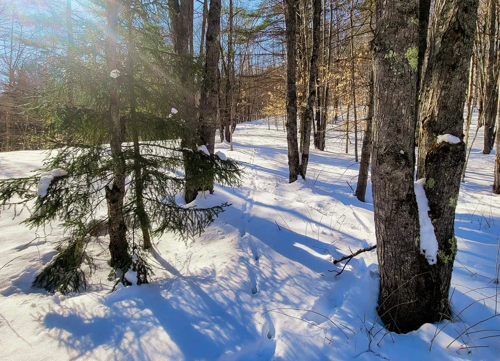 196 Farwell Street Barre Town VT 05641