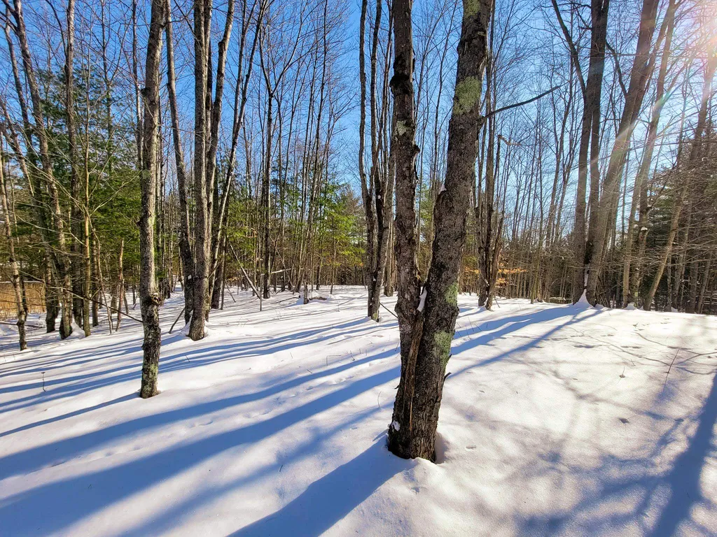196 Farwell Street Barre Town VT 05641