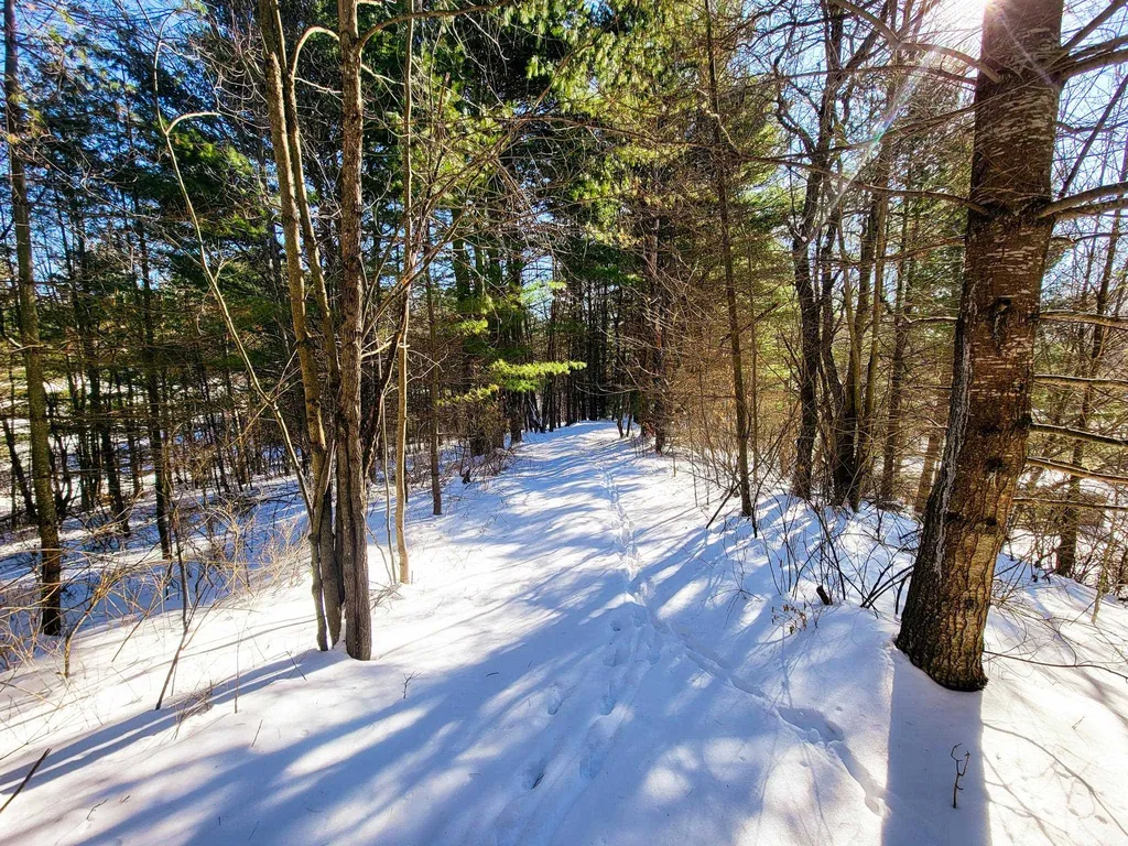 196 Farwell Street Barre Town VT 05641