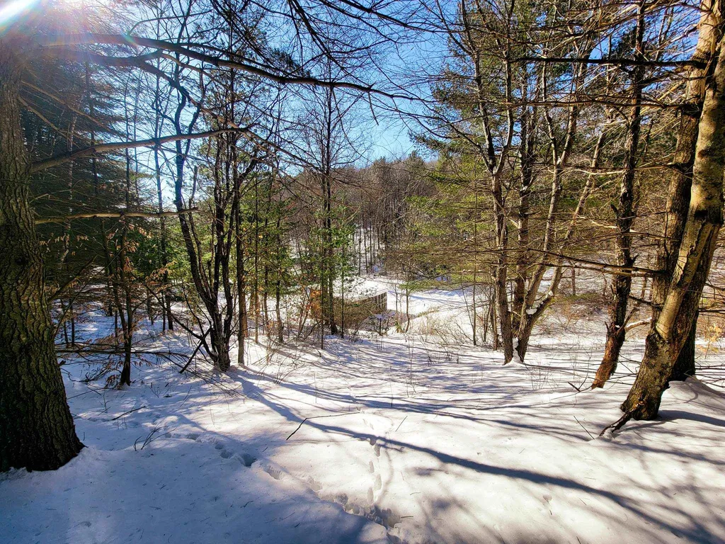 196 Farwell Street Barre Town VT 05641