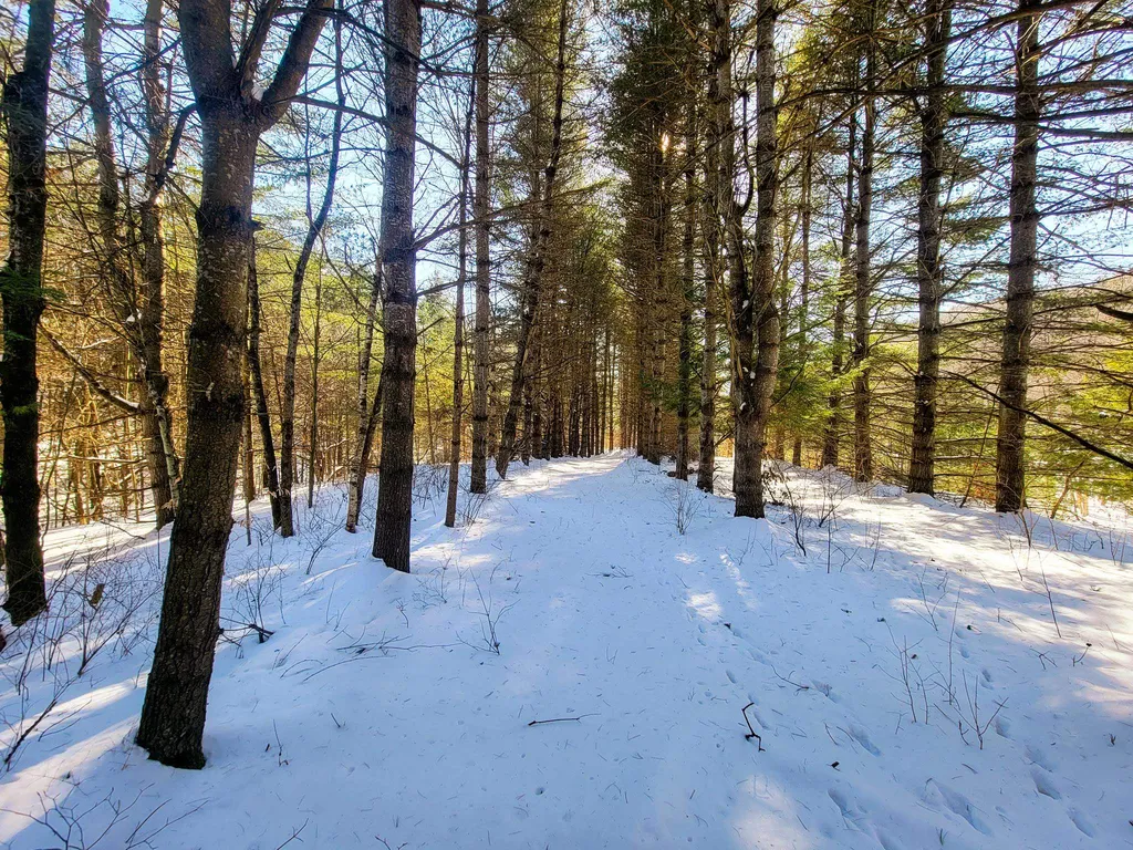 196 Farwell Street Barre Town VT 05641