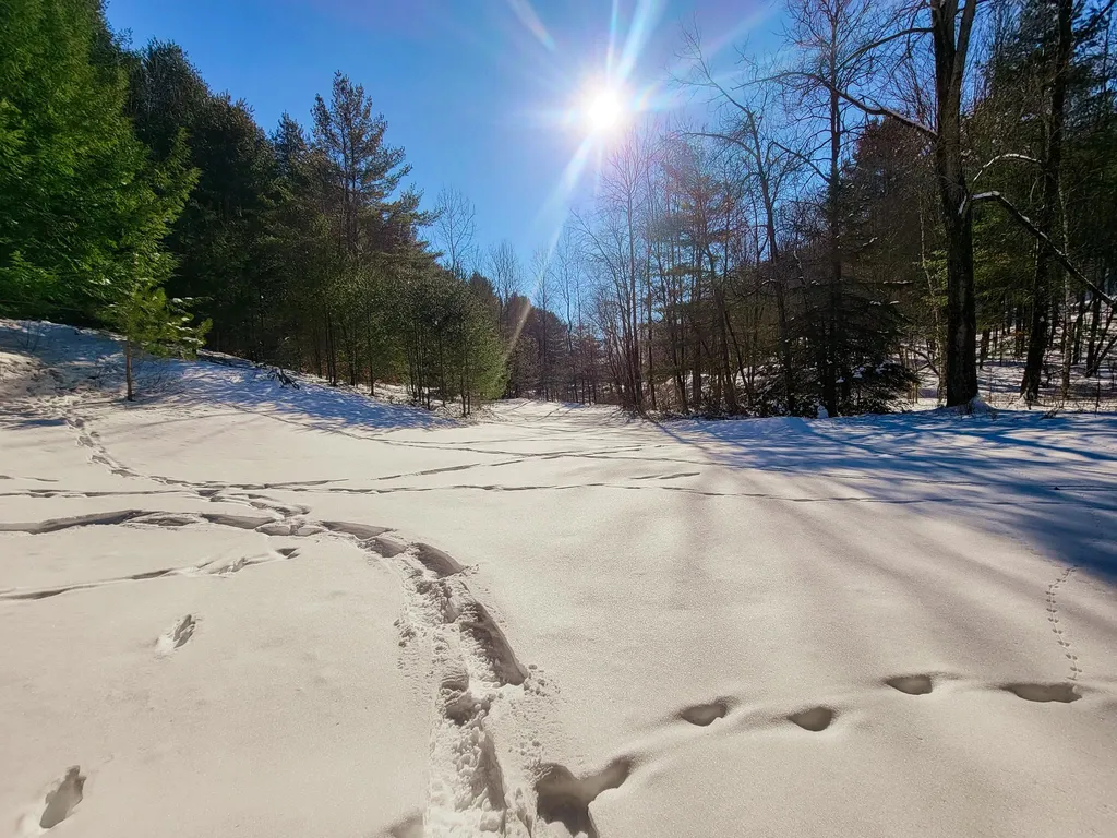196 Farwell Street Barre Town VT 05641