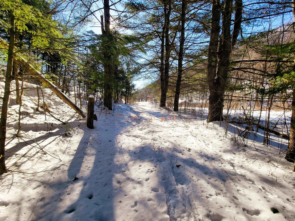 196 Farwell Street Barre Town VT 05641